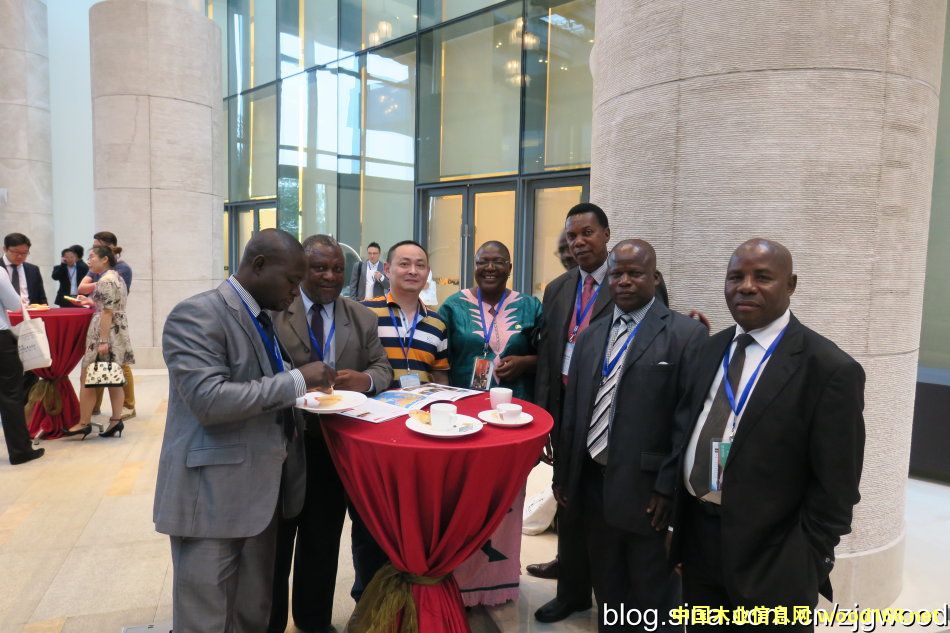 ����ľ�Ĵ�����_��ľ�I(y��)����ʢ����������Ⱥ���