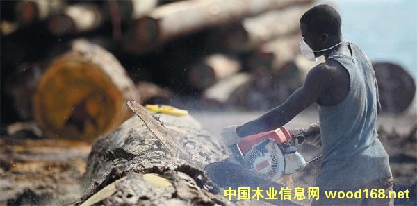 ����ľ�Ĵ�����I(y��)Ѳҕ֮---�Ї�(gu��)�֘I(y��)���F(tu��n)�A��ľ�I(y��)�ɷݹ�˾