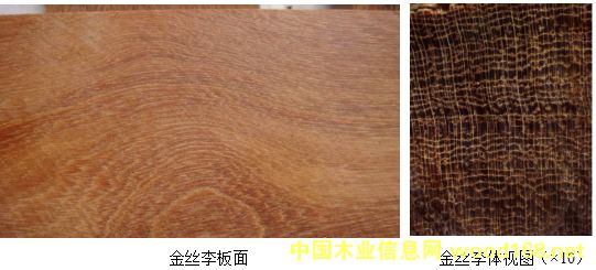 �V���Ĵ����FӲľ:��z����͘ľ����ľ���F��ľ