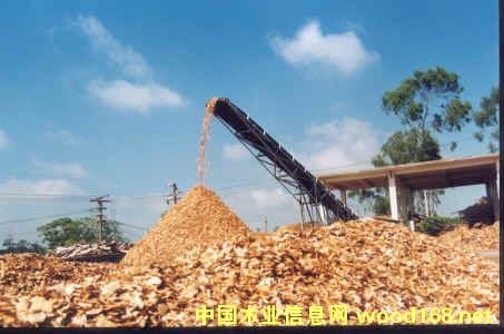 �����ֈ���ľƬ�����sľƬ