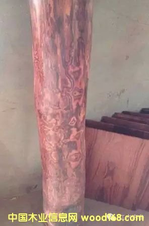 �������S����ľ�ϽY(ji��)�����ơ���Ę��