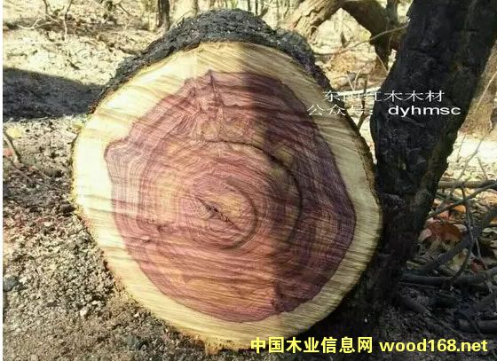 ���S̴(�������S�������������S����)ԭľ