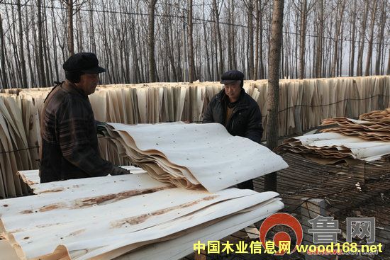 ɽ�|�R�ʣ�����ľƤ������ľƤ