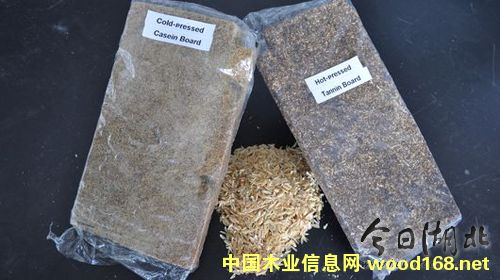 �����ٻ��壺����(j��ng)�����h(hu��n)�����־�