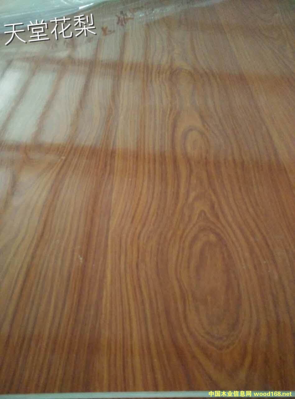 ���û����Ԕ��(x��)��B