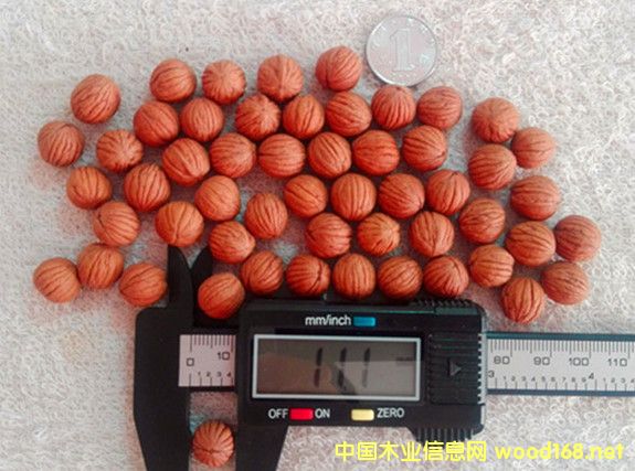 ����10-45mm����(gu��)���^����