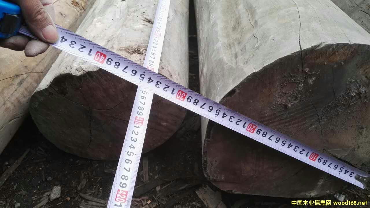 花梨木的詳細(xì)介紹