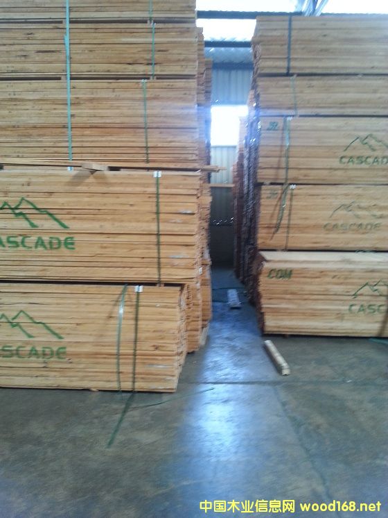 赤楊的詳細(xì)介紹