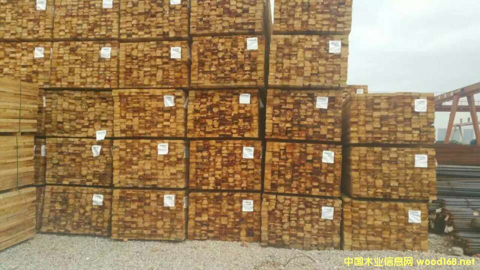 �M(j��n)�ڽ���ľ�� �Fɼ��Ԕ��(x��)��B