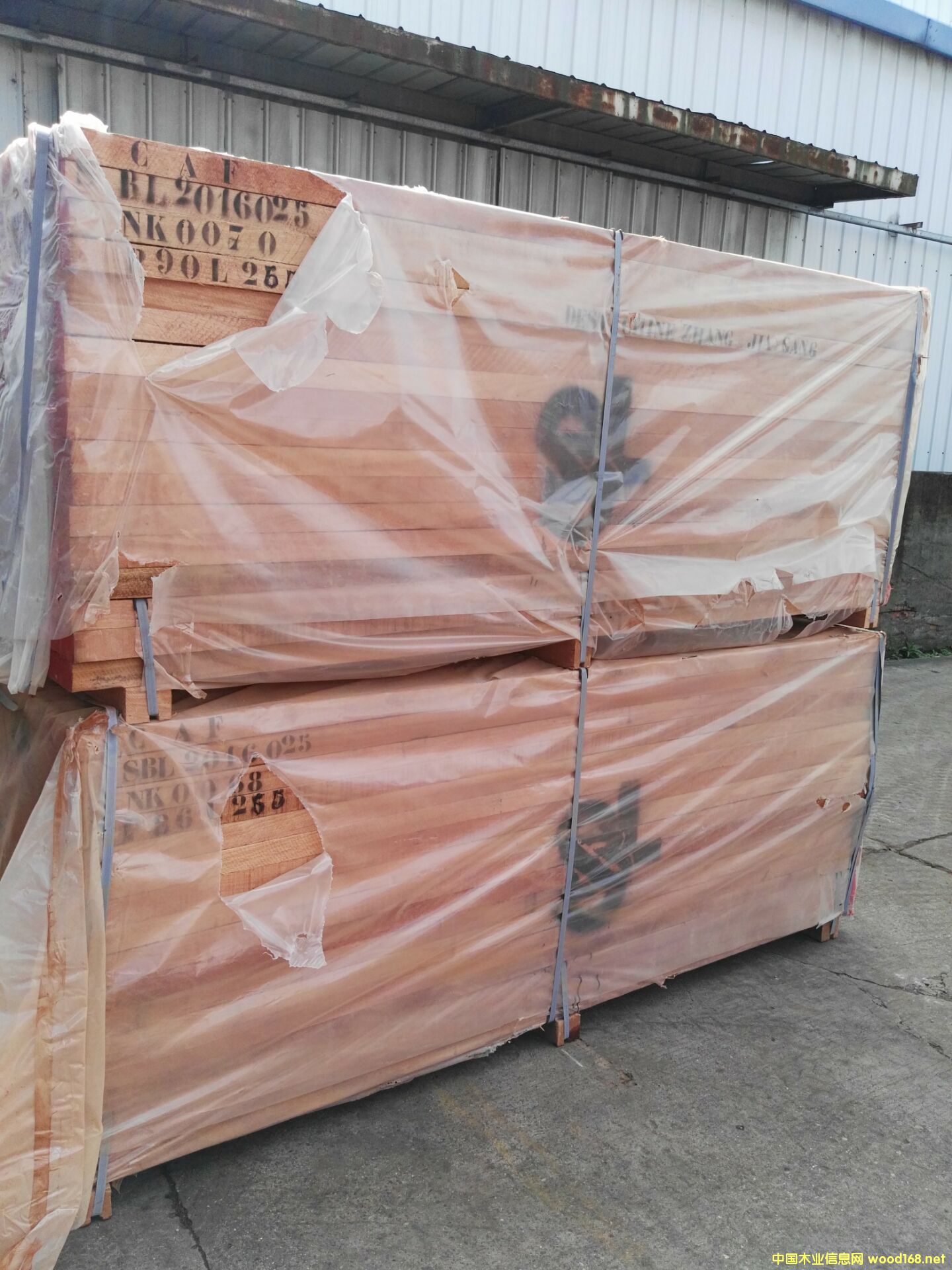 [��] ����W����