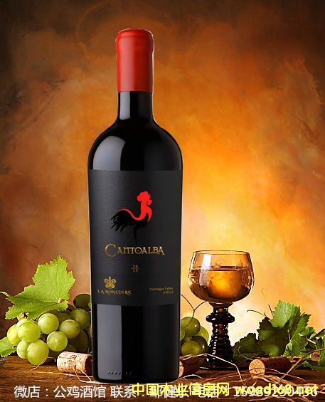 С���u 피�(j��)������ �t���Ѿ�