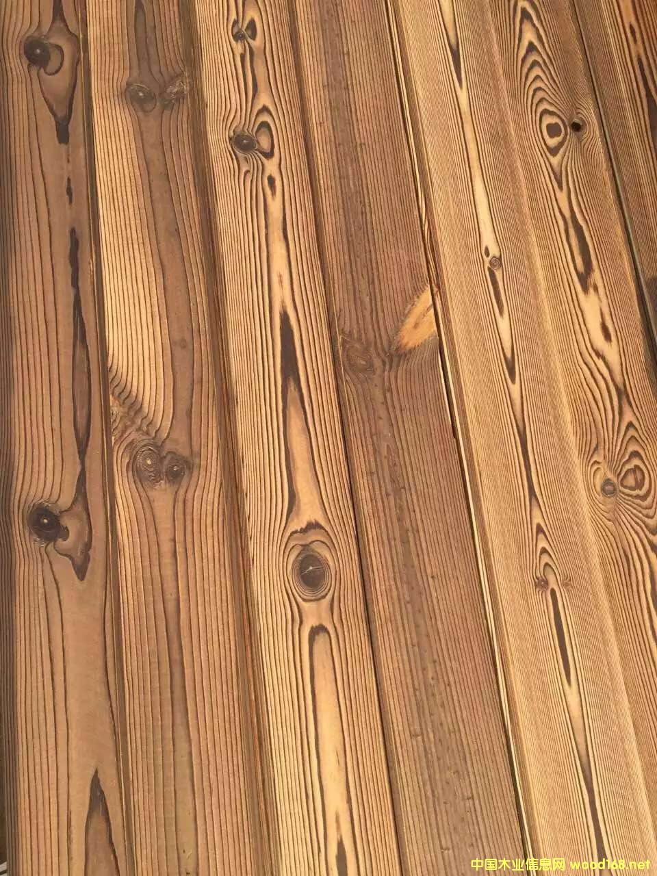 ̼�����z����ɣ�ð�