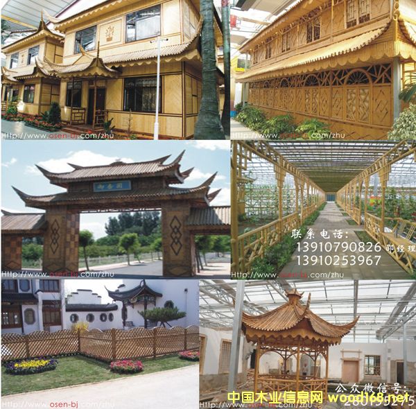 �������������������e������ľ��������Ԕ��(x��)��B