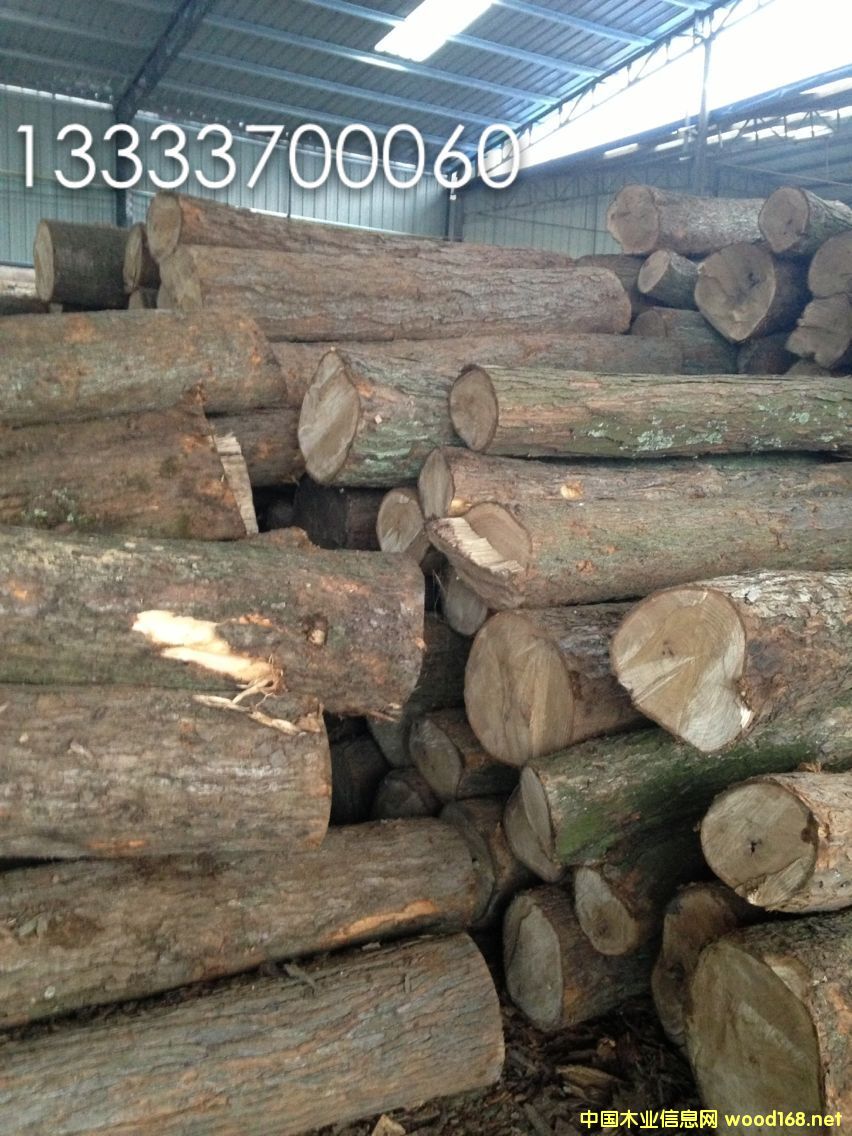 �ľ���۵�Ԕ��(x��)��B