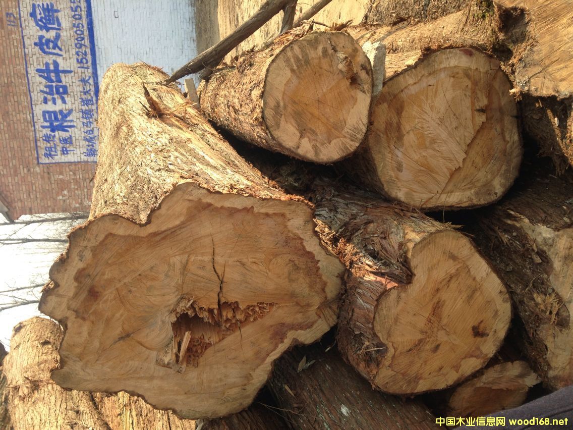 �F���Ͱص�Ԕ��(x��)��B