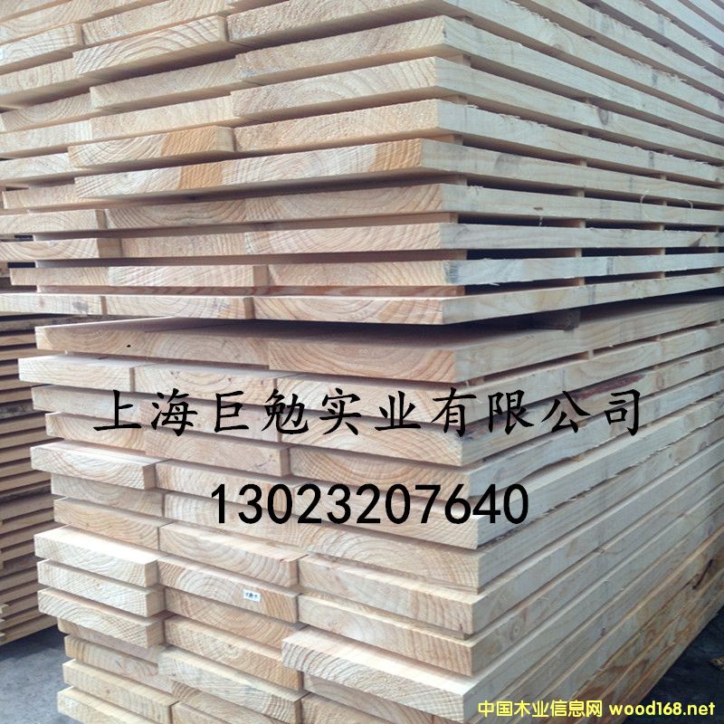 輻射松的詳細(xì)介紹