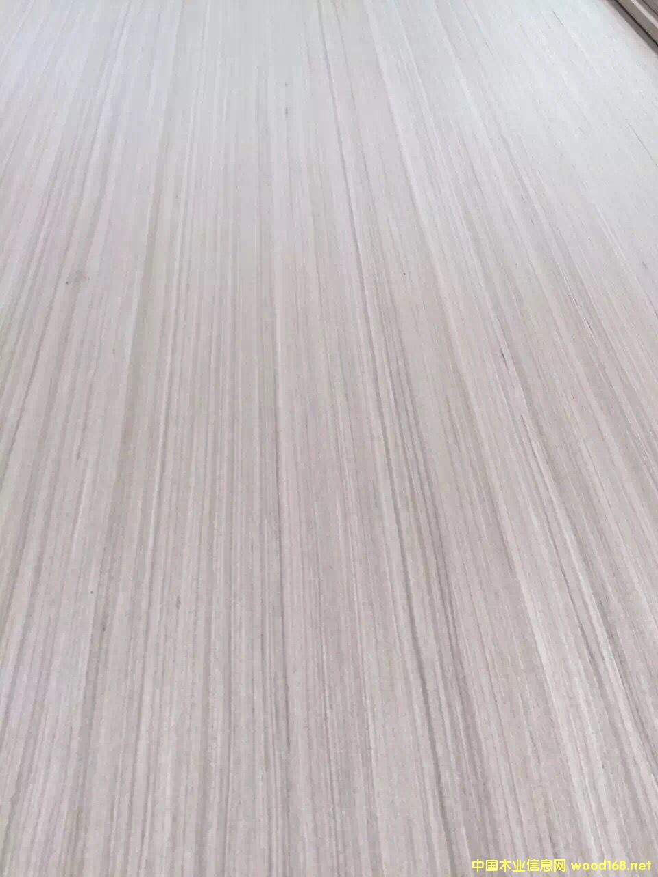 �������B(t��i)��18�� ��ľ