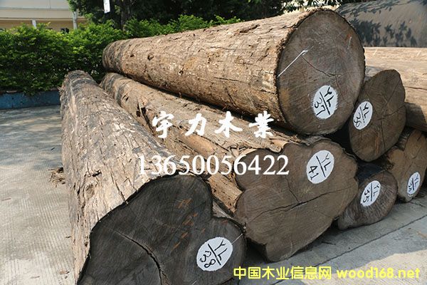 ��ľԭľ���Q(m��o)��