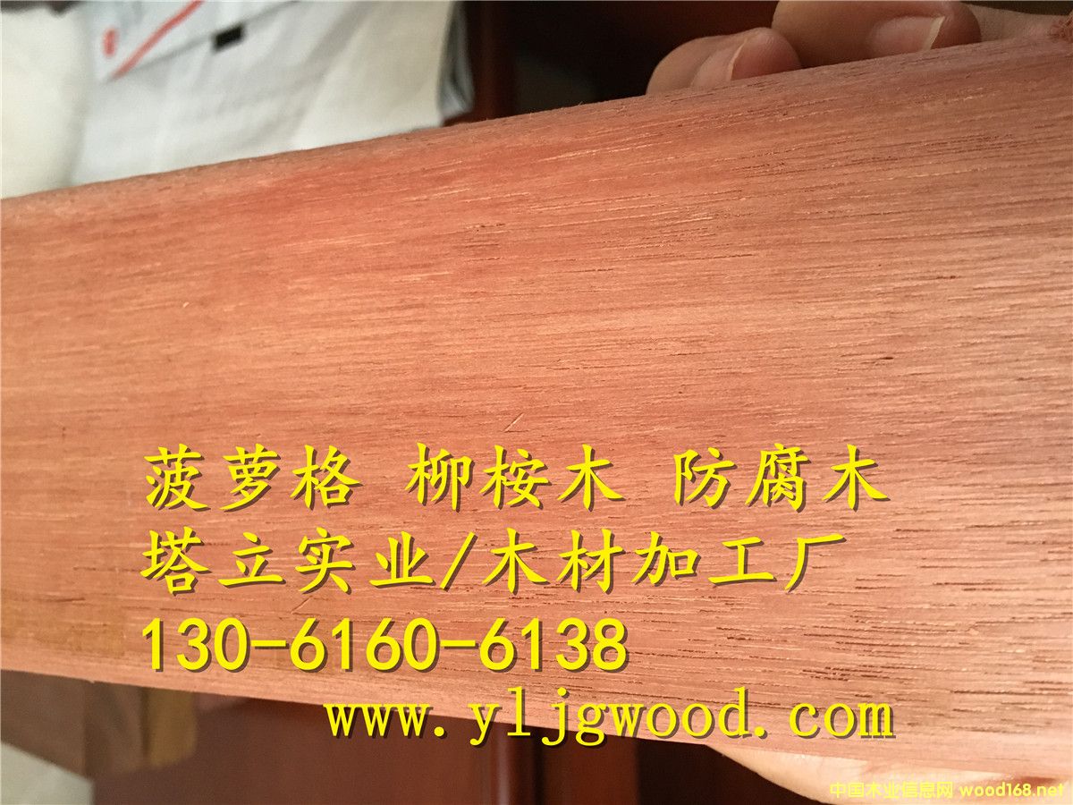 �y��ľ �t����  ����ľ�� ���^�@�� ľ�Y(ji��)��(g��u)���� ����ľ�ذ�