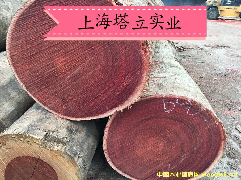 �t��ľ ��Ħ�� �t�̈́�ľ ����ľ�ذ�