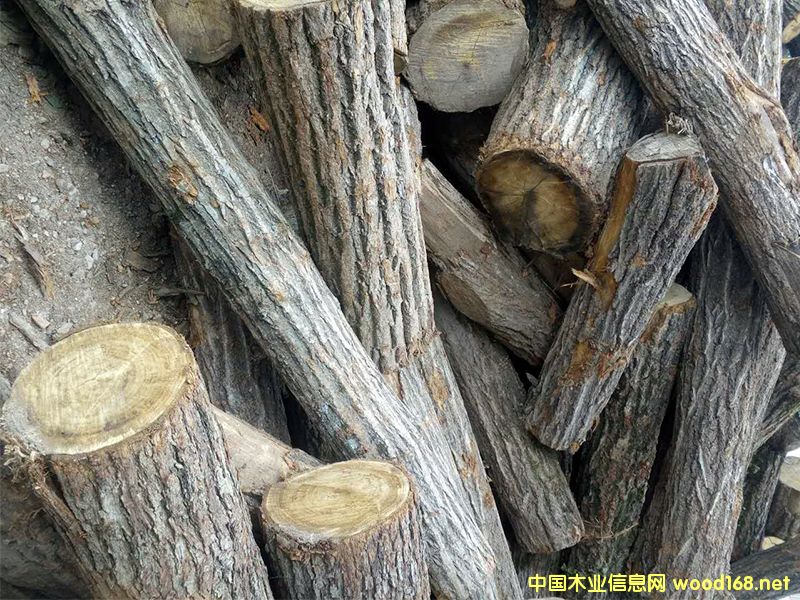 ԭľ����ľ����ľ������ľ��