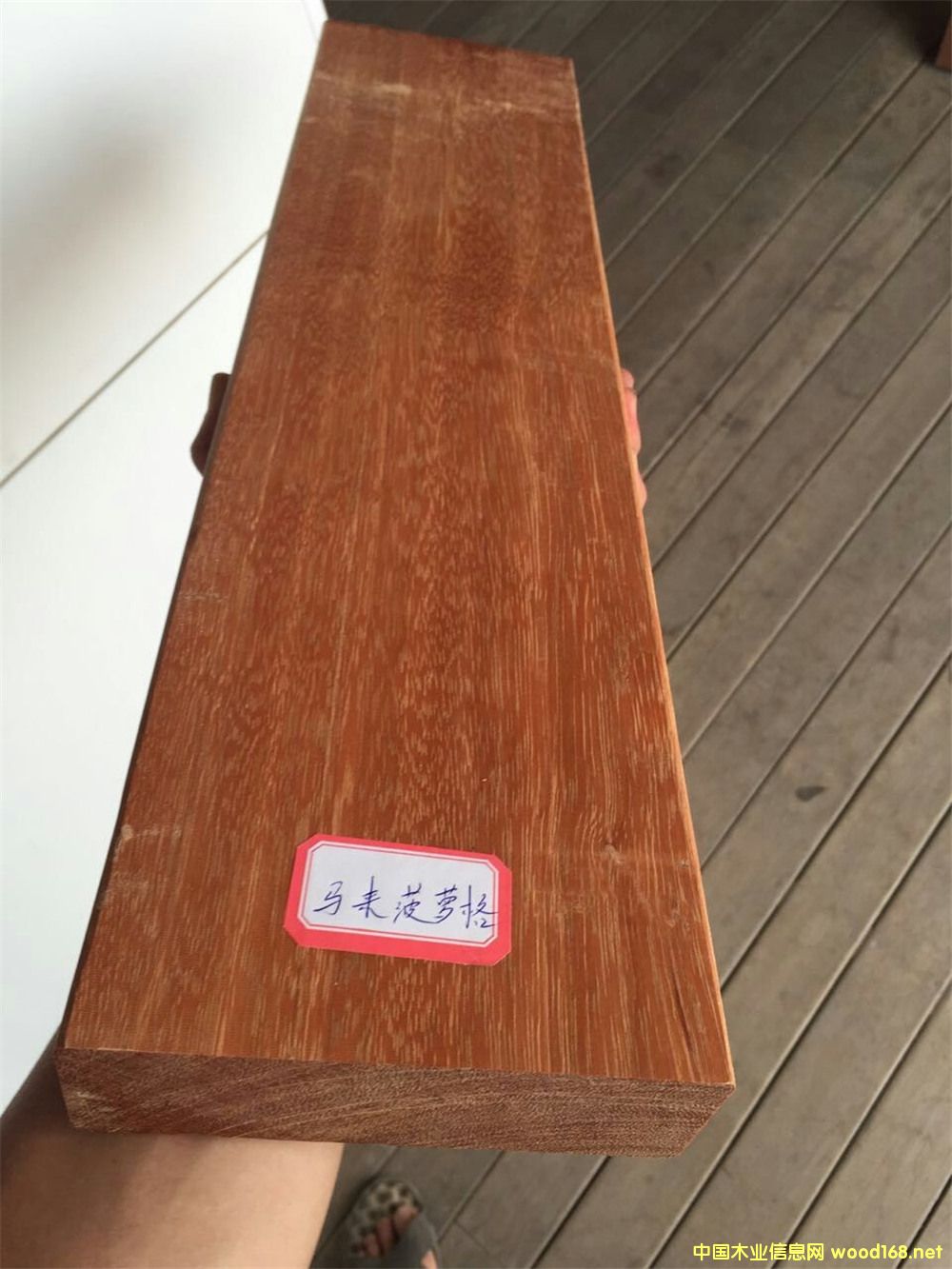 �R��(l��i)���}���M(j��n)��ľ�ĵ�Ԕ��(x��)��B