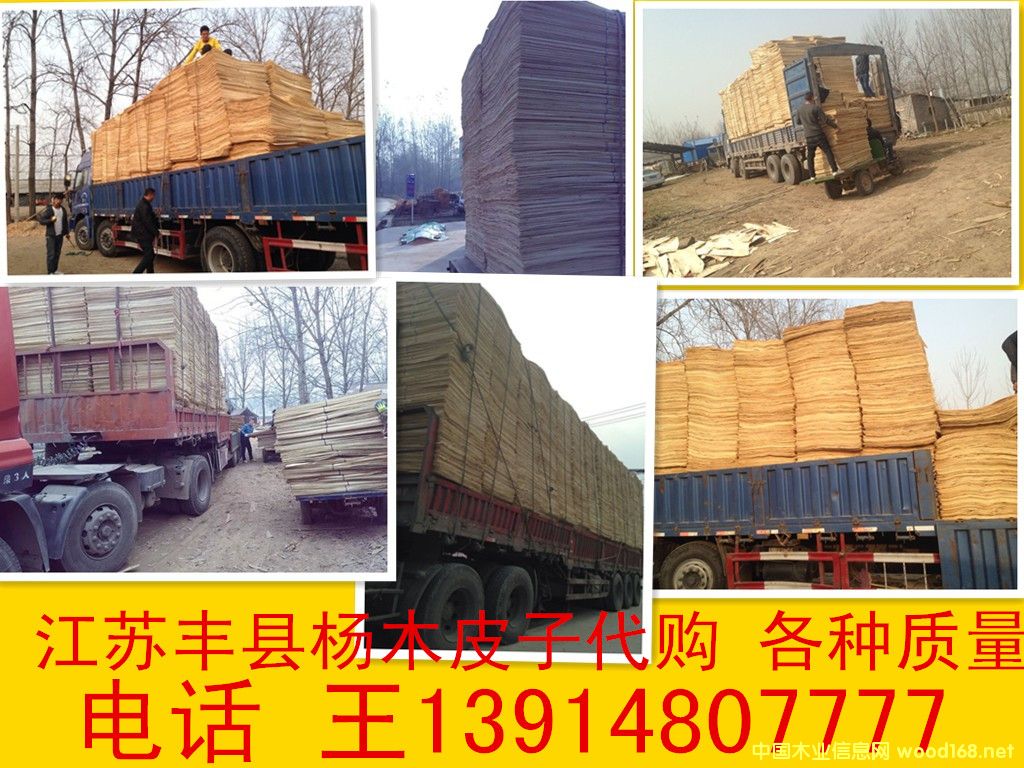 ��ľƤ���н�