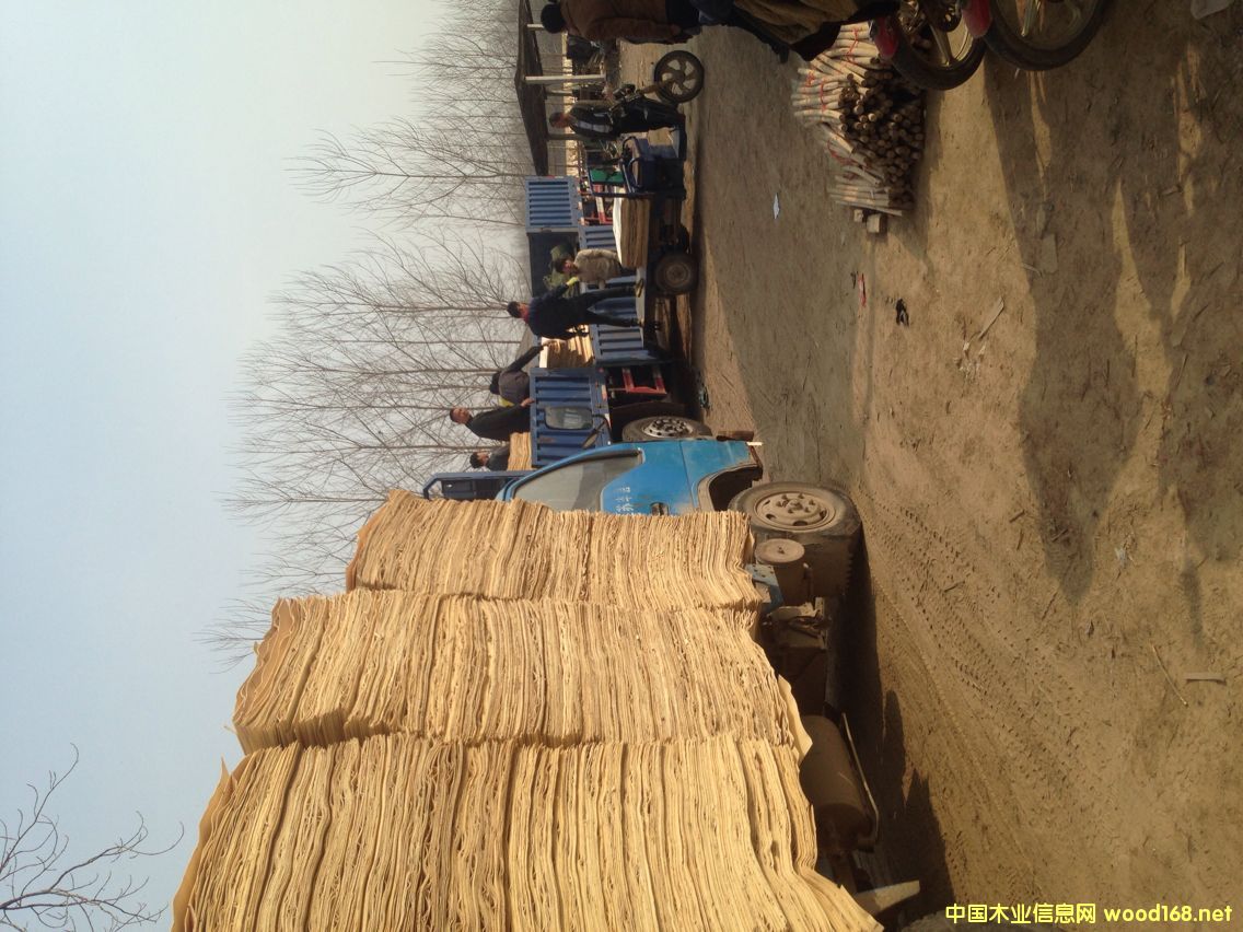 ��ľƤ�ӵ�Ԕ��(x��)��B