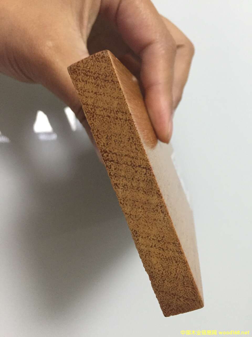 ������Ԕ��(x��)��B