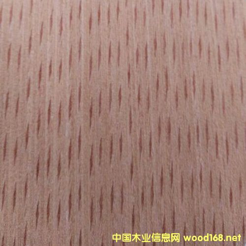 �t�οƼ�ľƤ��Ԕ��(x��)��B