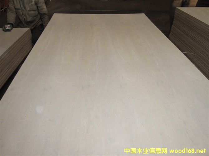 ��ľ��Ԕ����B