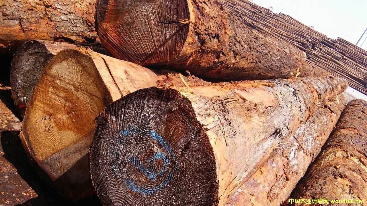 ������ԭľ���󏽱����ĵ�Ԕ��(x��)��B