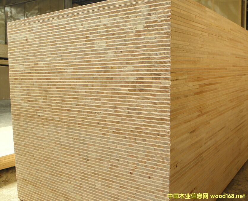 �R�������B(t��i)���Ԕ��(x��)��B