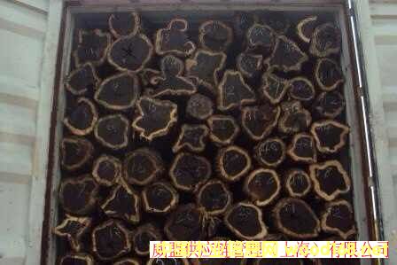 �V�����Ǟ�ľ�M(j��n)�ڈ�(b��o)�P(gu��n)����