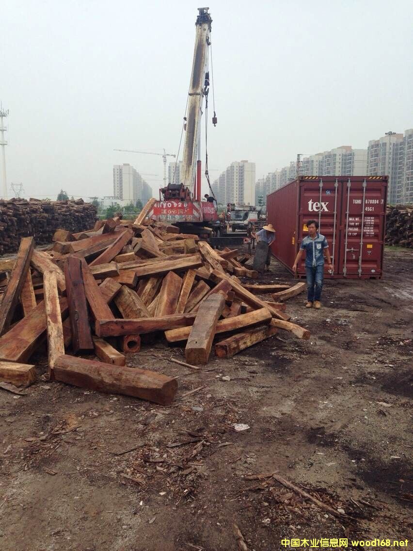 �ϓ�����S̴�M(j��n)�ڈ�(b��o)�P(gu��n)����