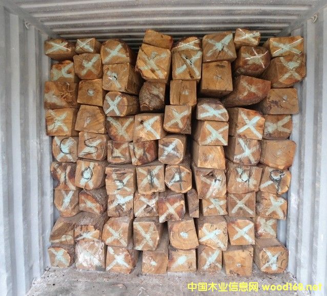 ���T�������̴�M(j��n)�ڈ��P(gu��n)����