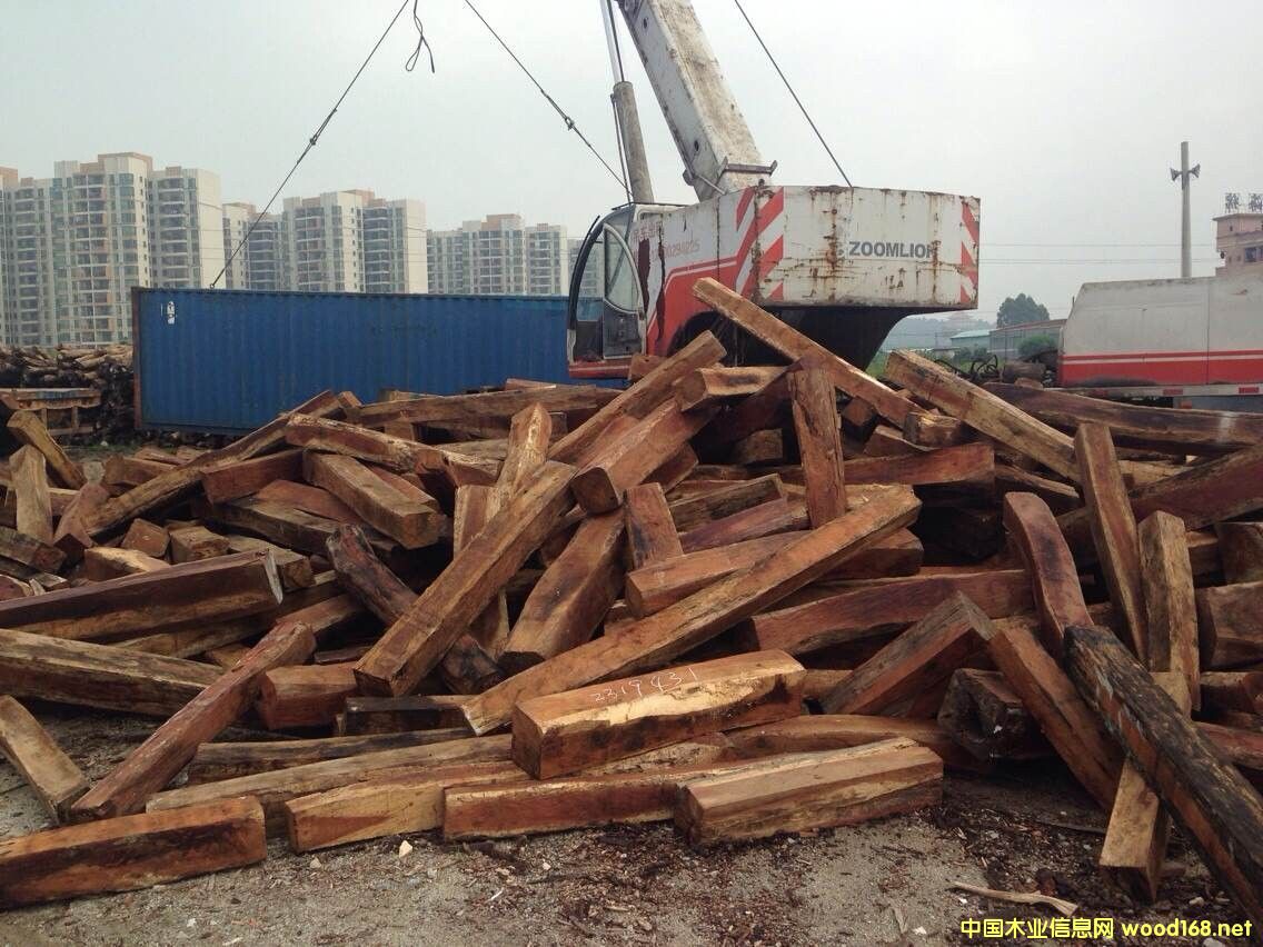 �ϓ�W���S̴�M(j��n)�ڈ�(b��o)�P(gu��n)����