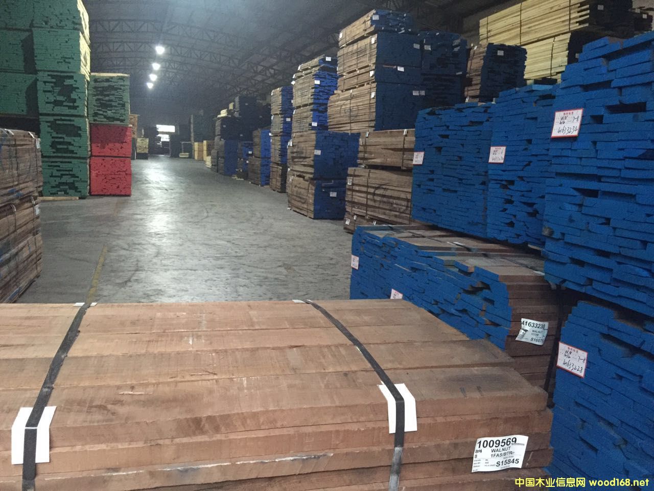 HARTZELL���K�����ں���