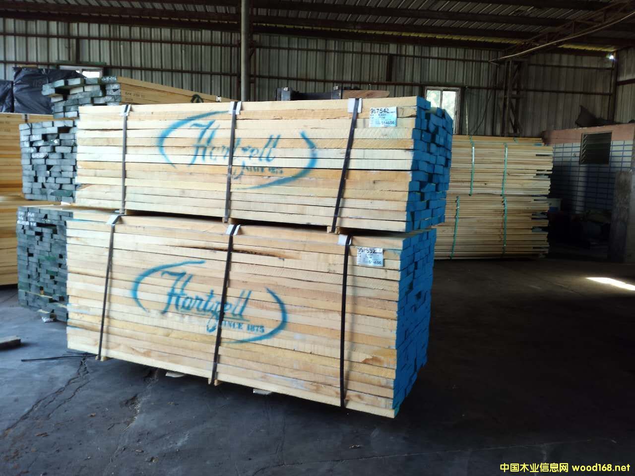 �����t���Ԕ����B