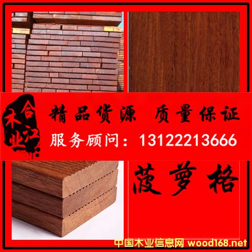 菠蘿格的詳細(xì)介紹