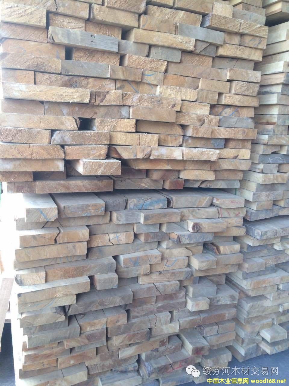 ���_˹�ľ���~�����