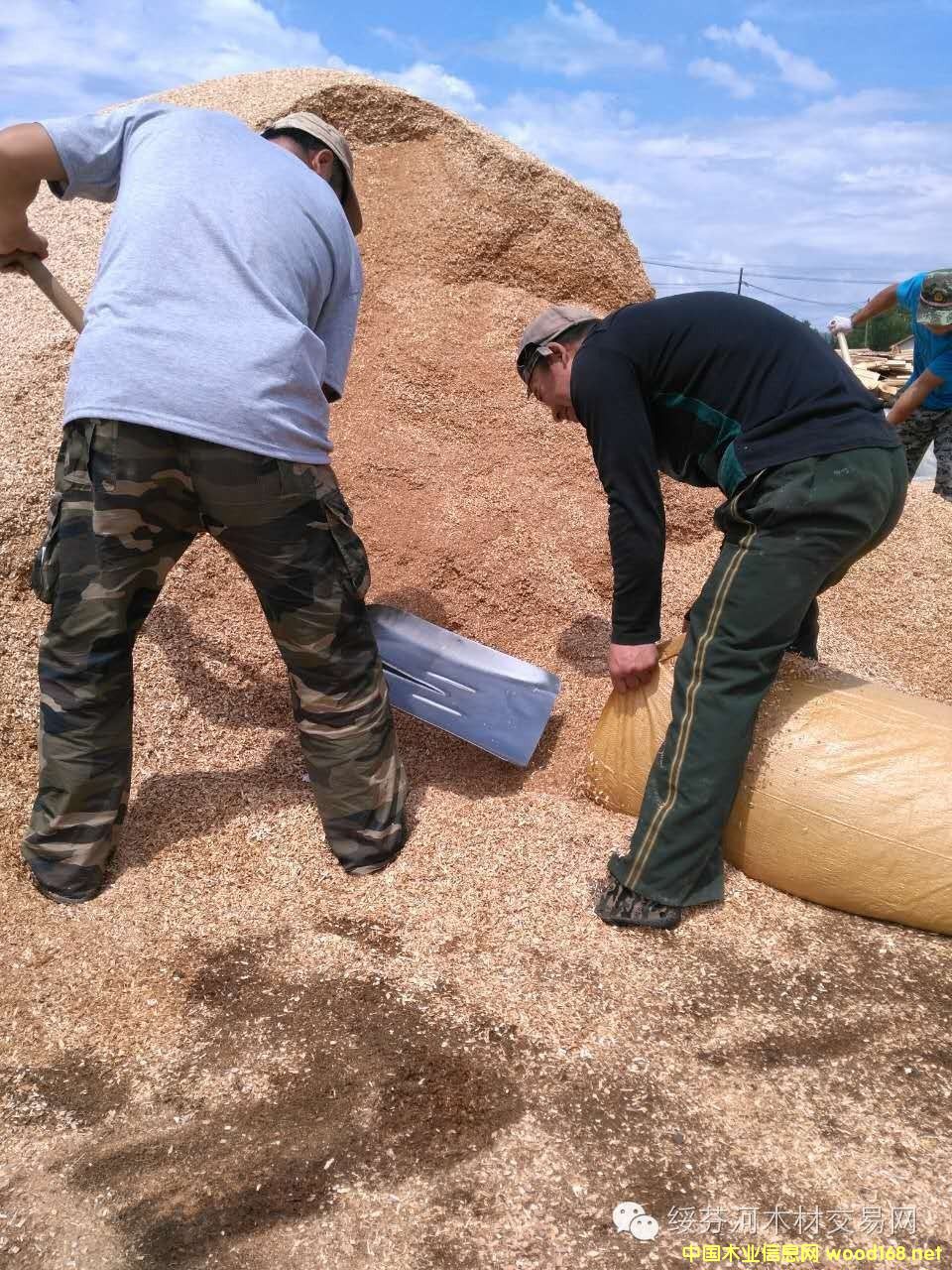 ��ľ����ľʳ�þ��ĩ�w��