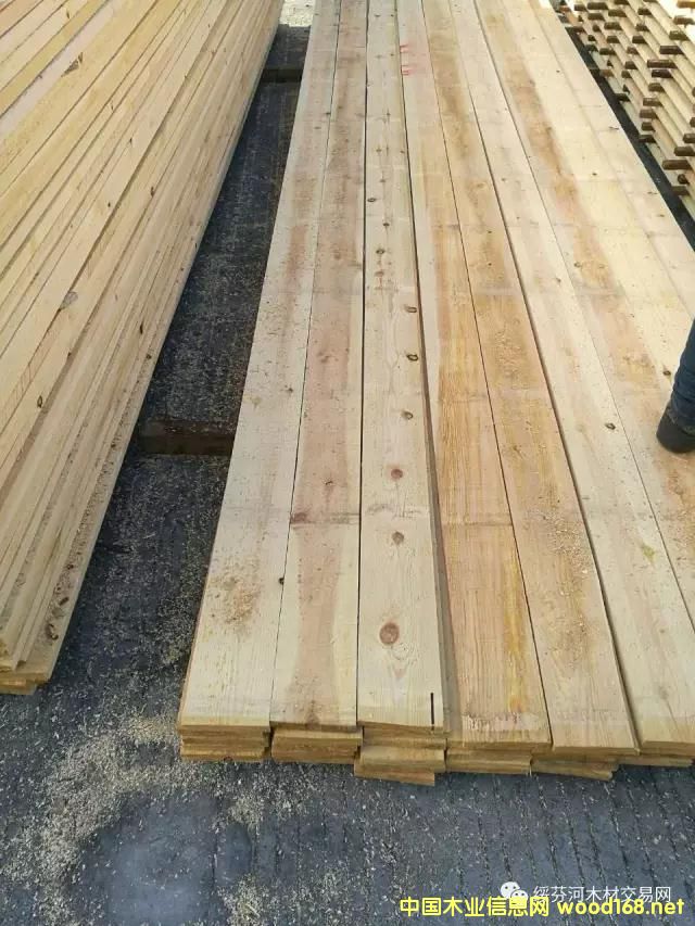 ������24mm�ɰ���22mmӋ��