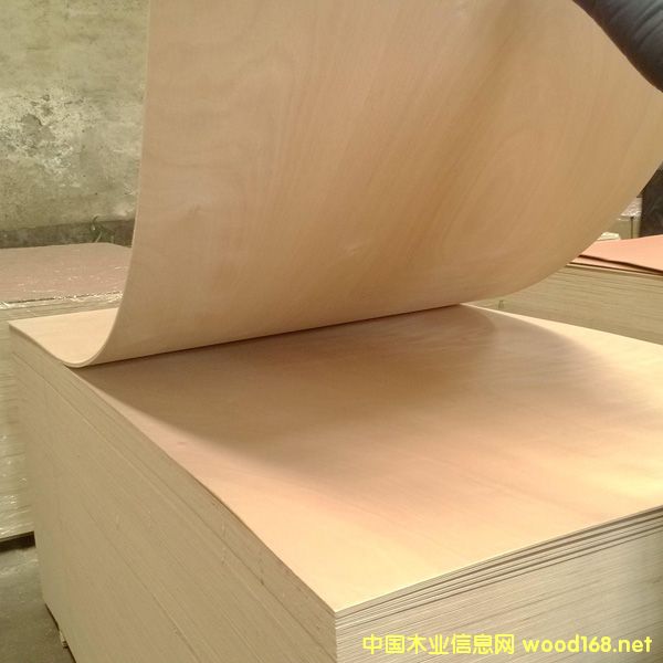 ���B(t��i)�z�ϰ��������z�ϰ塢���Ӱ�S��ֱ�N