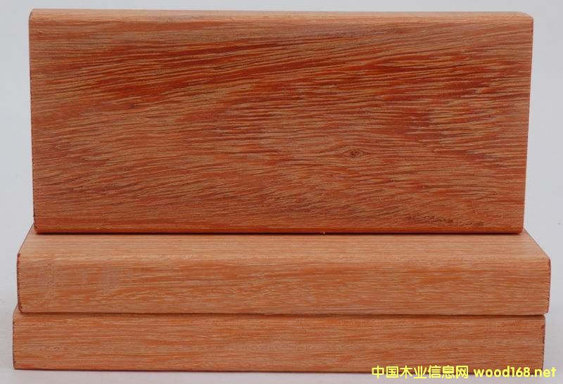 門格的詳細介紹