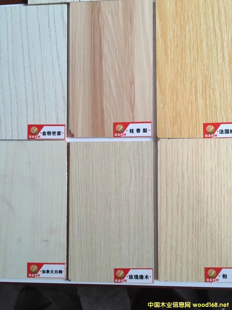 �����谷�����N���