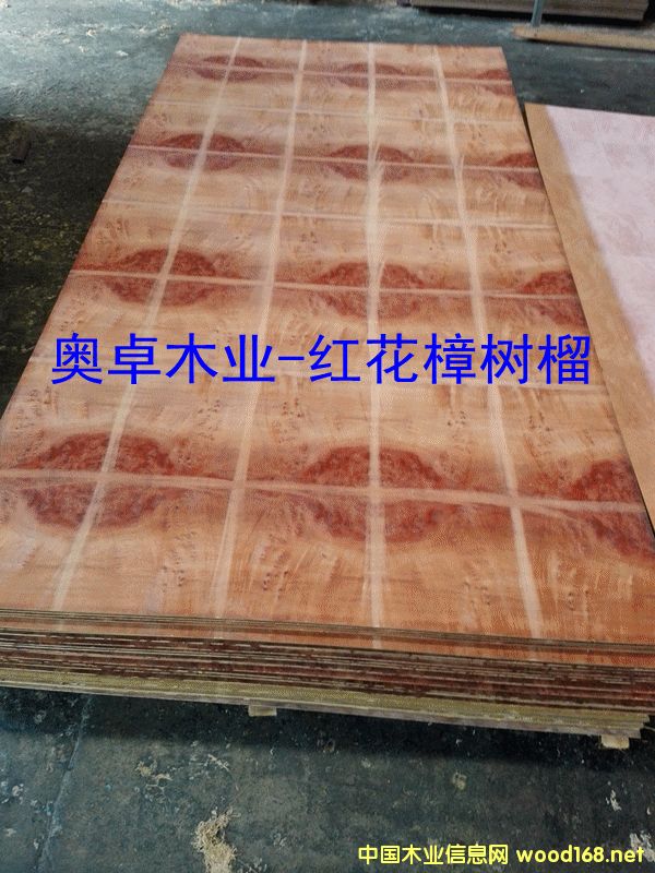 �t������������