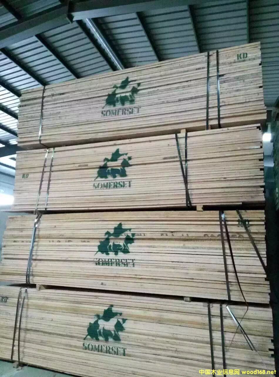 ��Ϟ?z��i)?.54cm 1COM