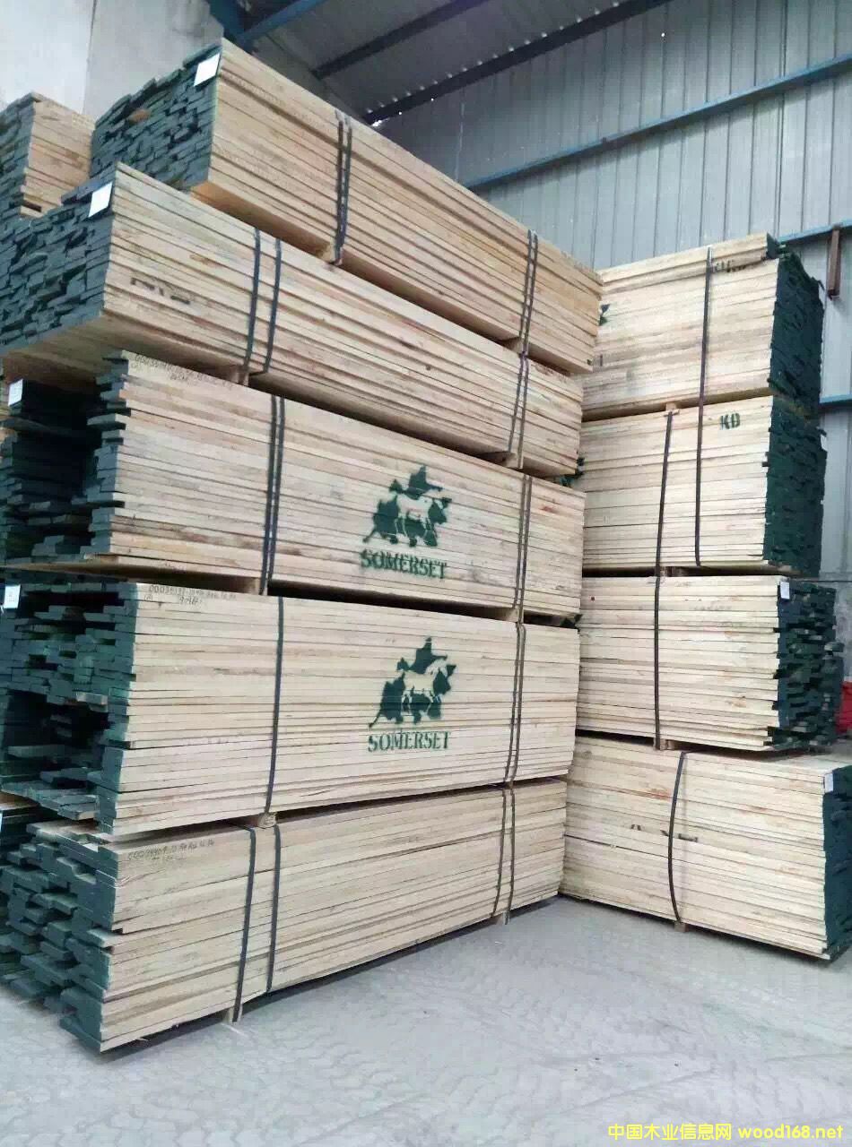 ������Ϟ?z��i)���Ԕ����B