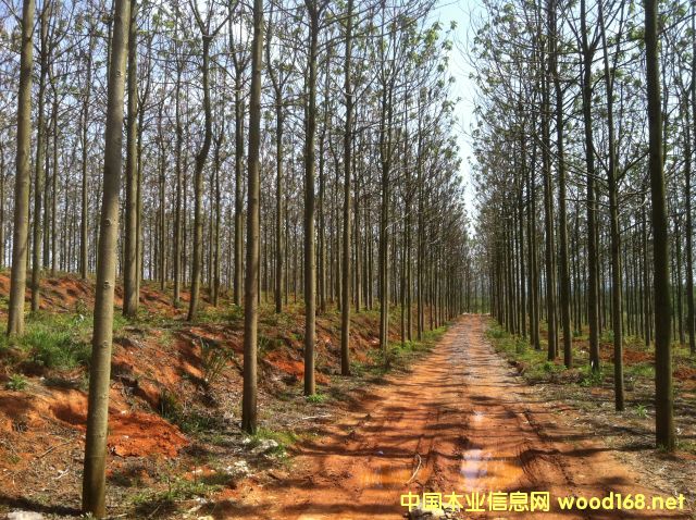 ��ͩ��(sh��)